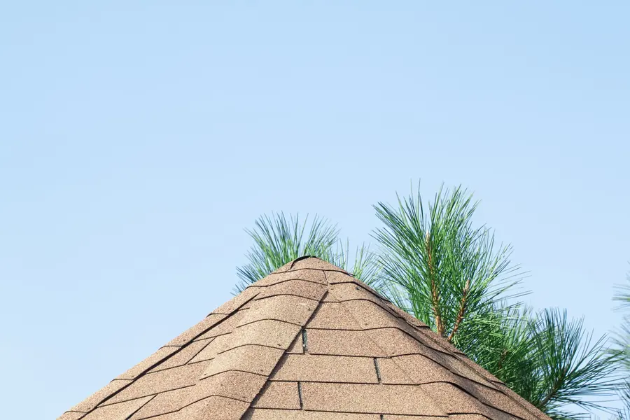 Class 4 impact-resistant shingles closeup